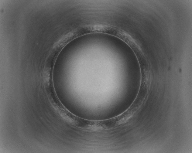 X0000081380545200701111455