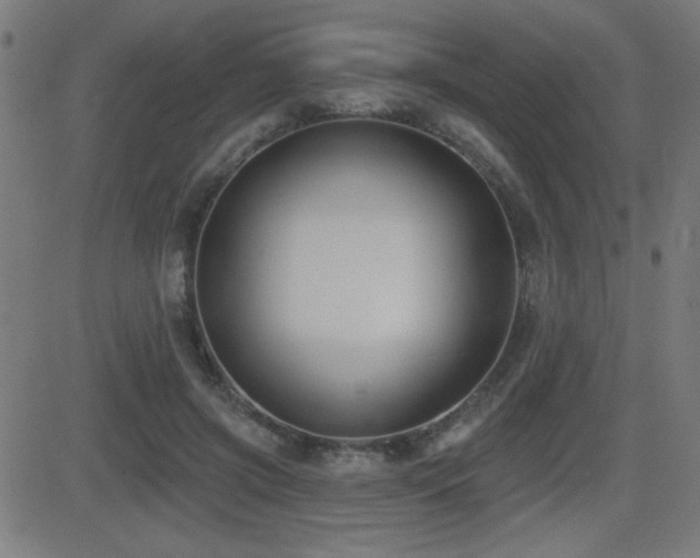 X0000081380549200701111455