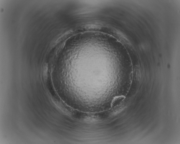 X0000081380550200701111455