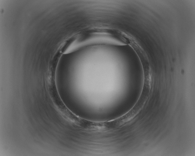 X0000081380552200701111455