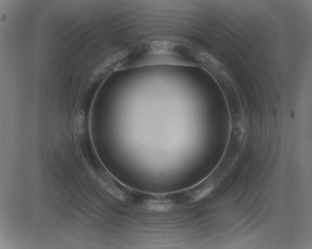 X0000081380556200701111455