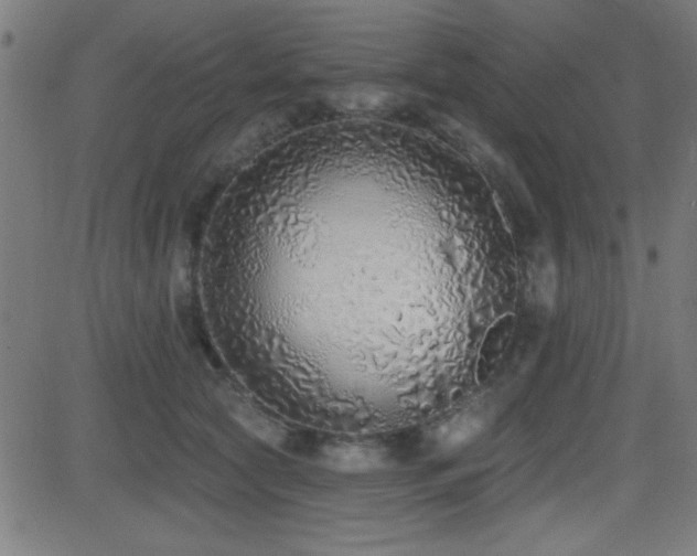 X0000081380561200701111455