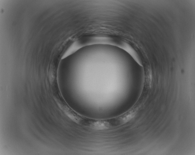 X0000081380566200701111455