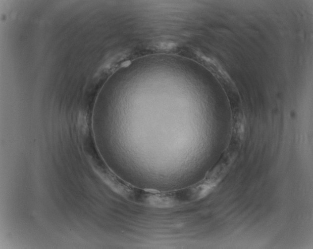 X0000081380568200701111455