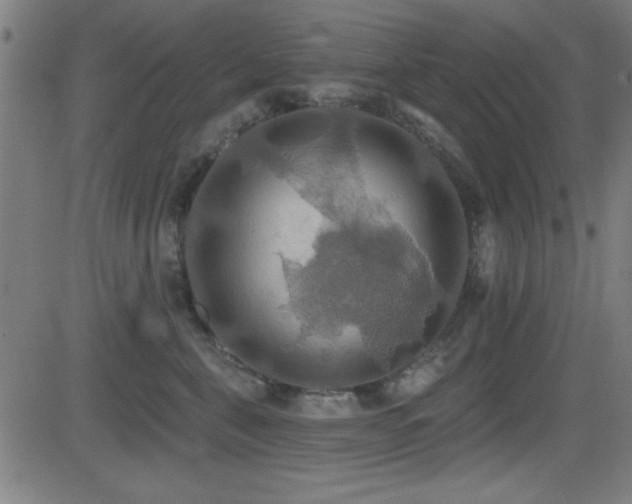 X0000081380571200701111455
