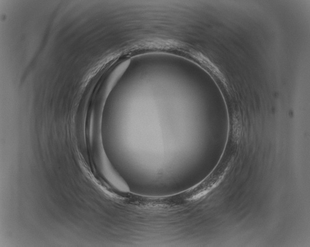X0000081380581200701111454