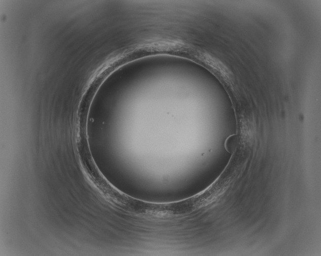 X0000081380582200701111454