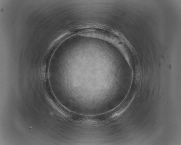 X0000081380585200701111454