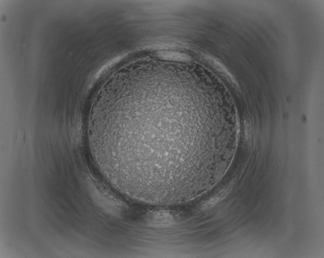X0000081380588200701111454