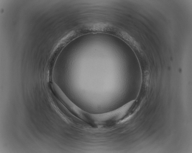 X0000081380589200701111454