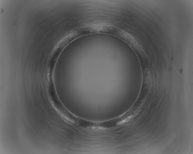 X0000081380590200701111454