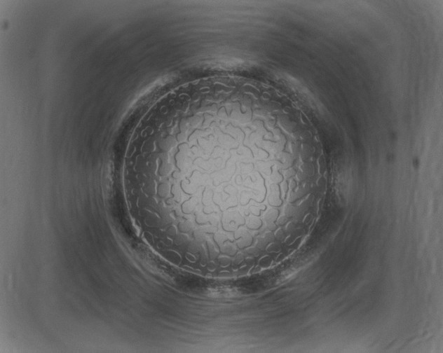 X0000081380591200701111454