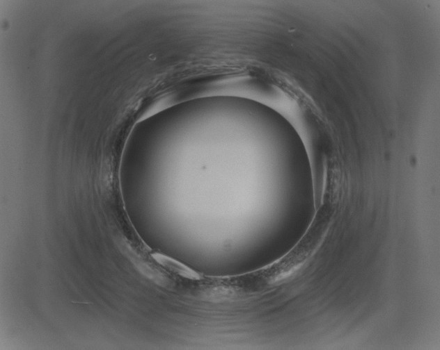 X0000081380593200701111454