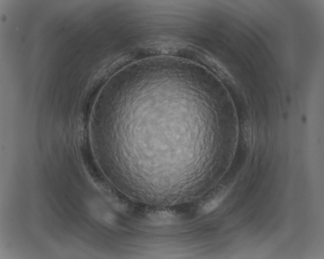 X0000081380594200701111454