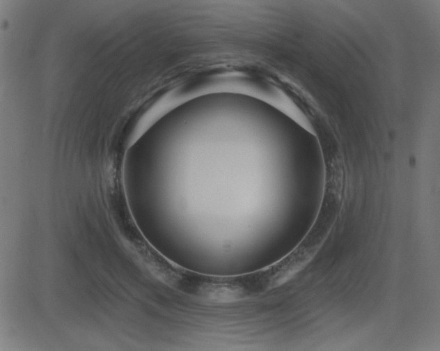 X0000081380597200701111454