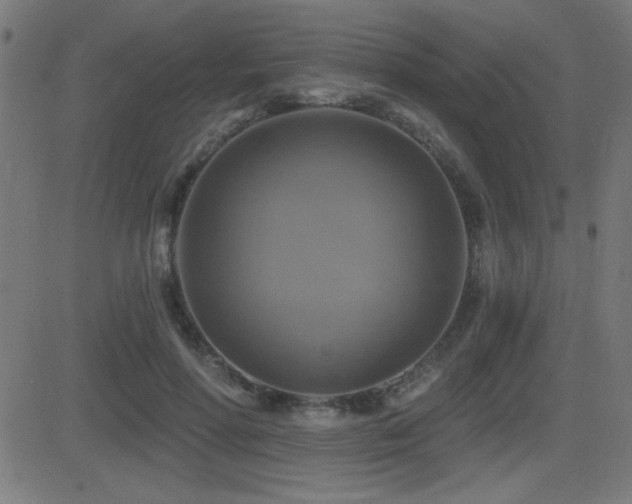 X0000081380598200701111454