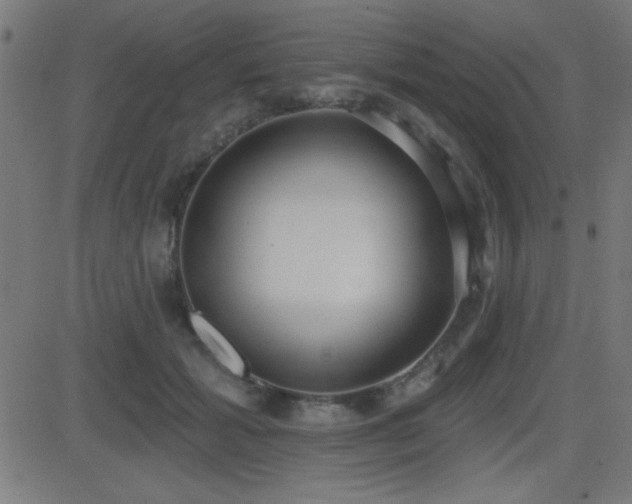 X0000081380605200701111454