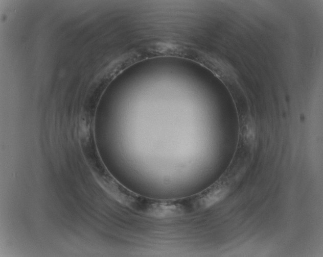X0000081380607200701111454