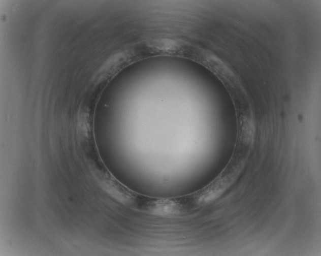 X0000081380612200701111454