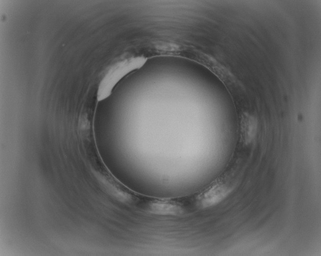 X0000081380614200701111454