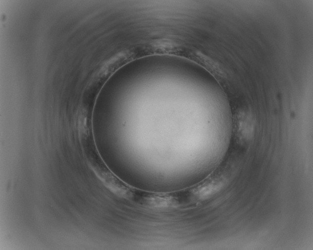 X0000081380615200701111454
