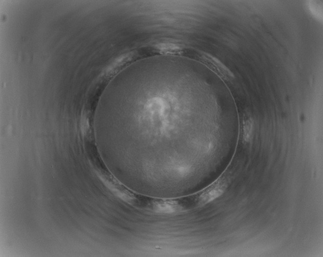 X0000081380618200701111454