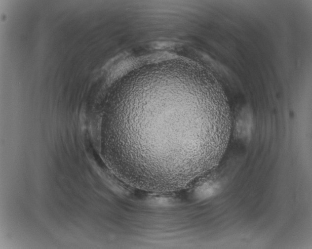 X0000081380620200701111454