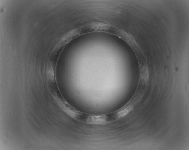 X0000081380622200701111454