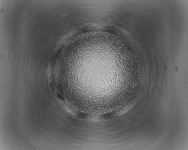 X0000081380624200701111454