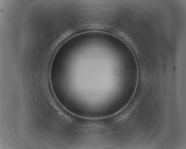 X0000081380625200701111453