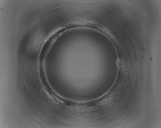 X0000081380626200701111453