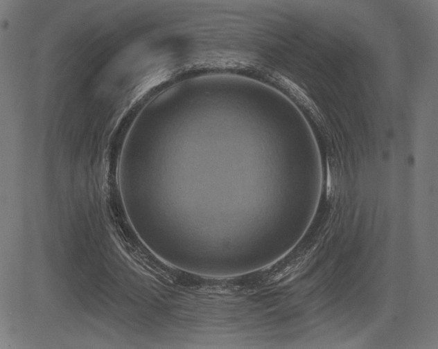 X0000081380627200701111453