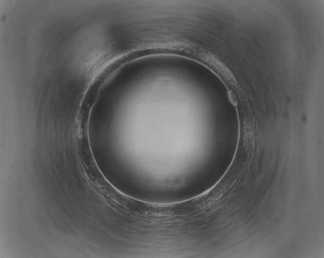 X0000081380628200701111453