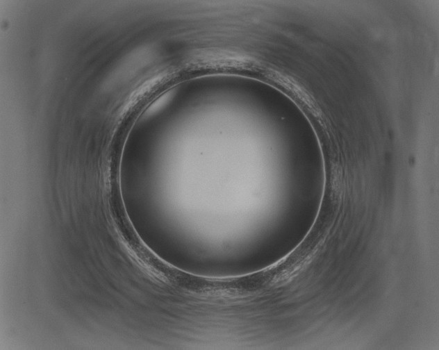 X0000081380629200701111453