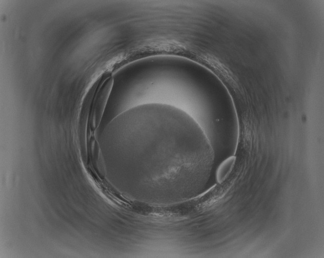 X0000081380630200701111453