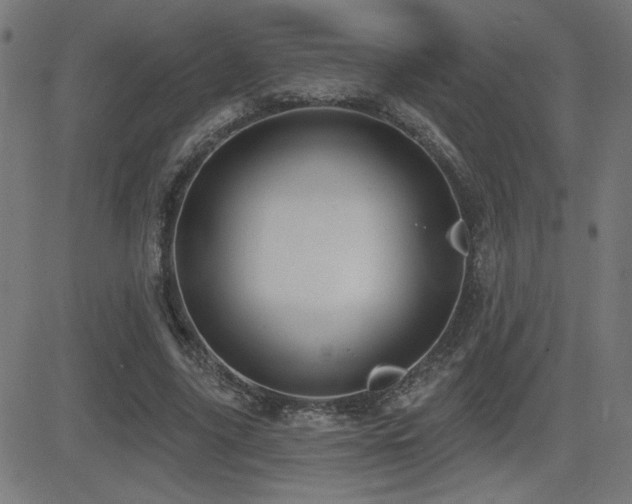 X0000081380635200701111453