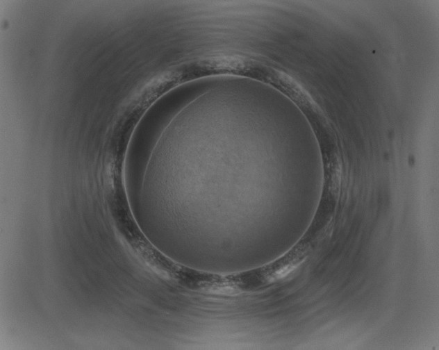 X0000081380643200701111453