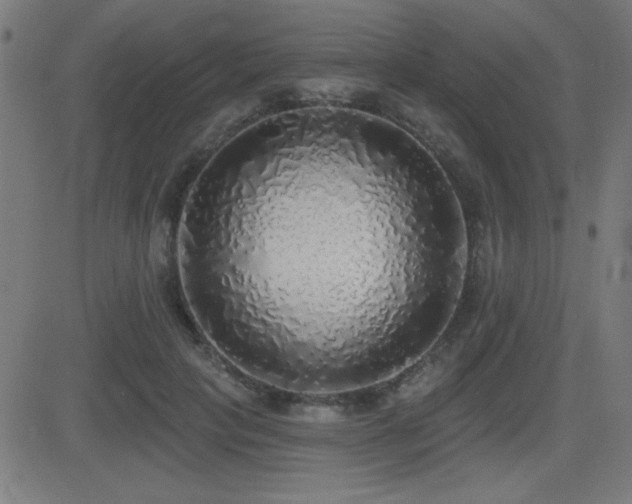 X0000081380649200701111453