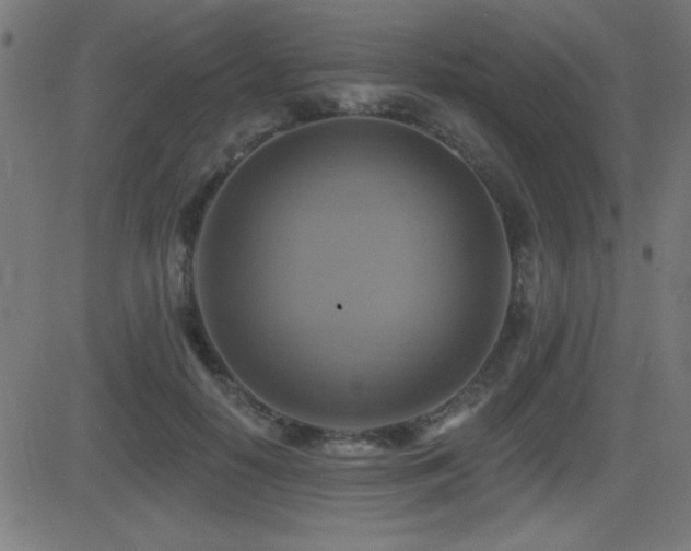 X0000081380650200701111453