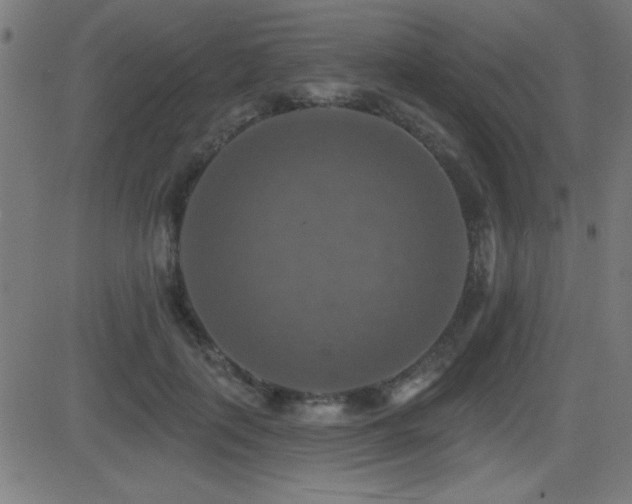 X0000081380651200701111453