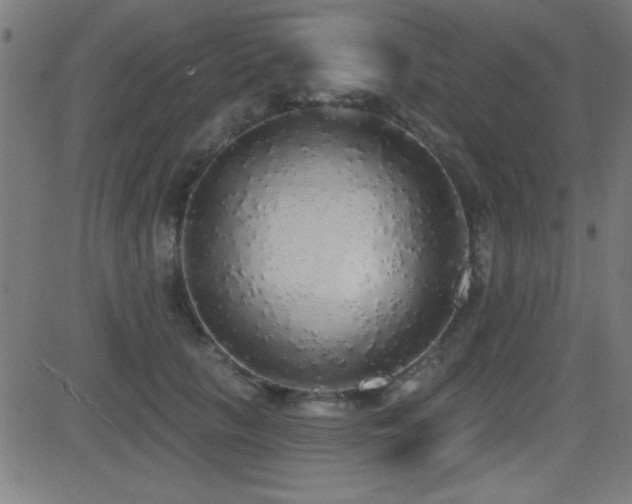 X0000081380657200701111453