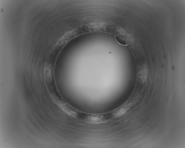 X0000081380662200701111453