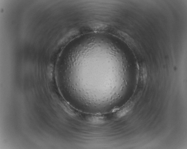 X0000081380664200701111453