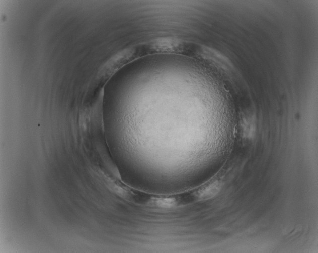 X0000081380665200701111453