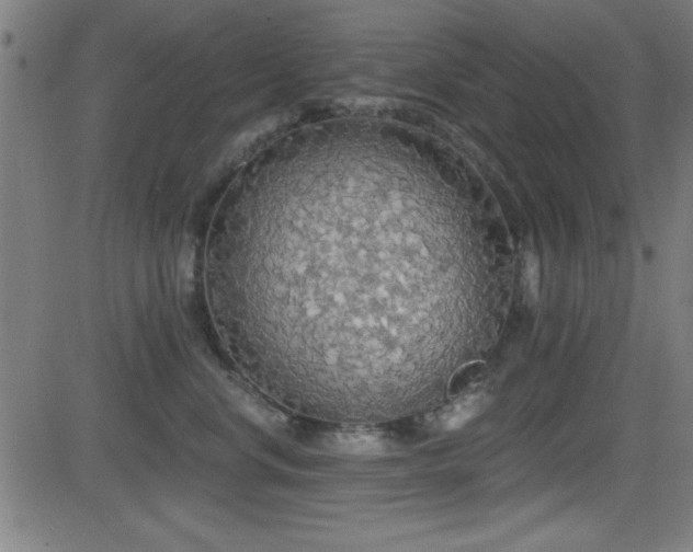 X0000081380668200701111453