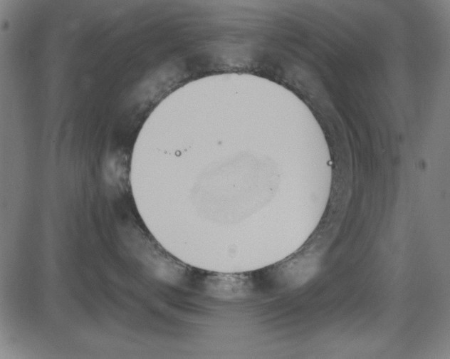 X0000081380672200701111454