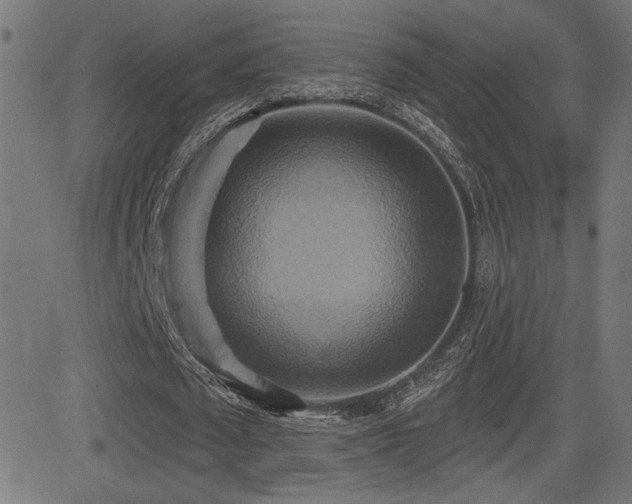 X0000081380673200701111453