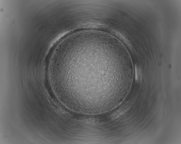 X0000081380675200701111453