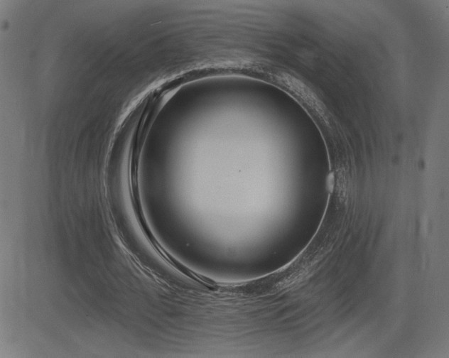 X0000081380676200701111453