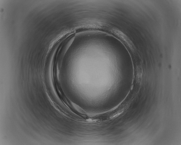 X0000081380677200701111453